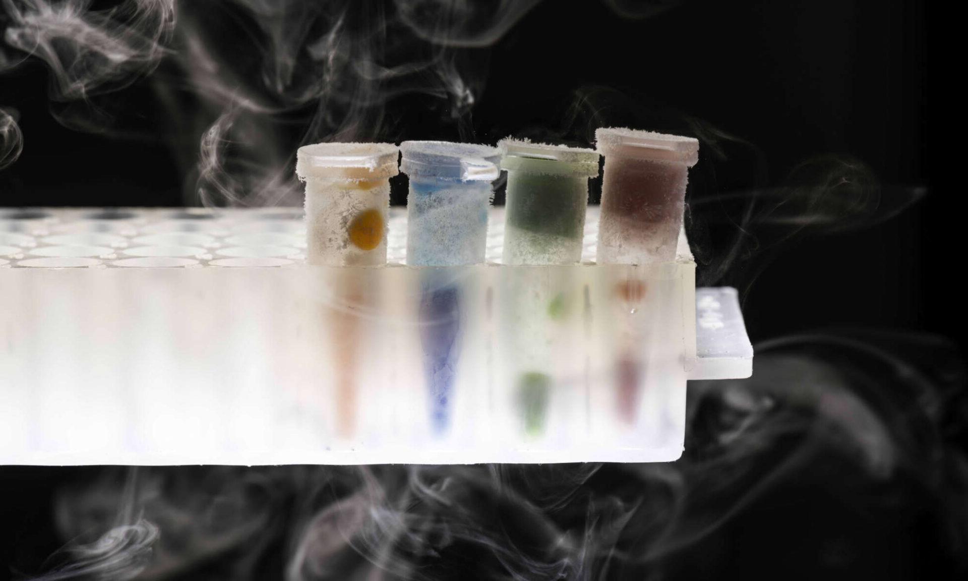 四管, 每个都有不同的颜色, 含有冷冻在液氮中的水凝胶，通过生物3d打印获得.