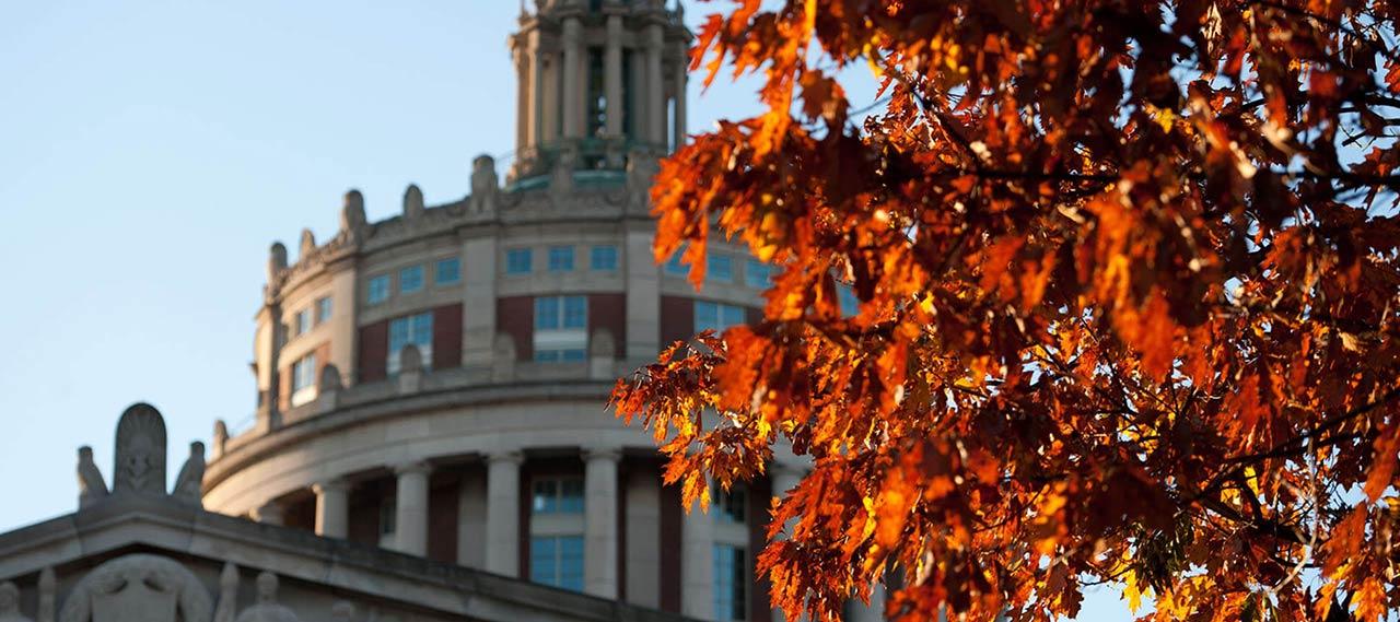 秋天的树叶，背景是拉什·里斯图书馆的塔楼.